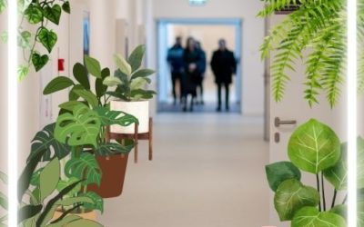 🌿 Podaruj kwiat – niech Twoja roślina znajdzie nowy dom! 🌿