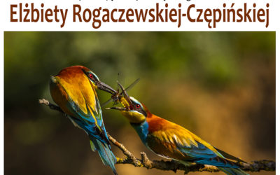 Wernisaż w Galerii Fotografii AZ